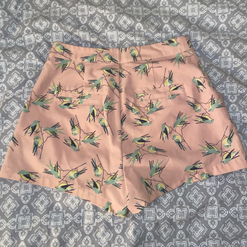 Bird shorts - Picture 2 of 4